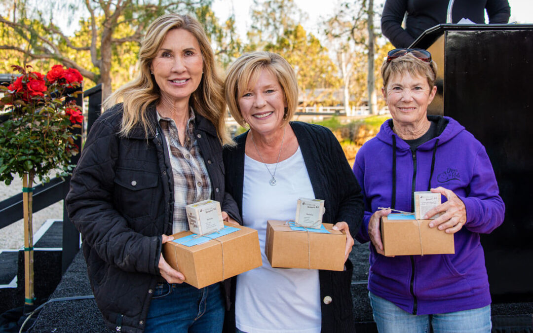 Annual Volunteer Celebration and Board Meeting