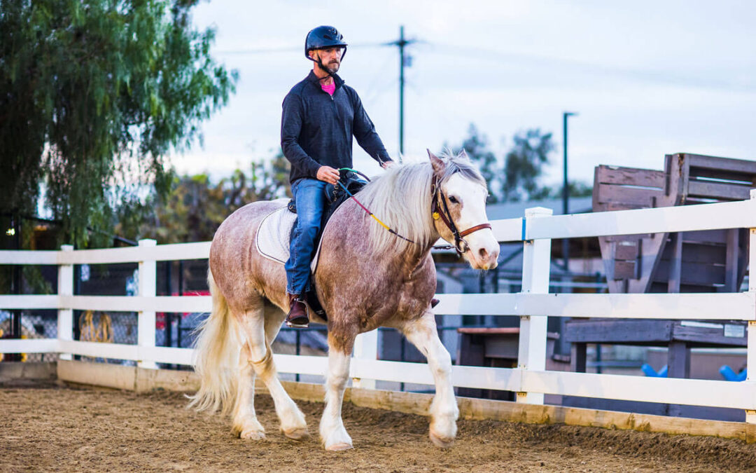 Staff Bio: Meet Paul, Barn Manager