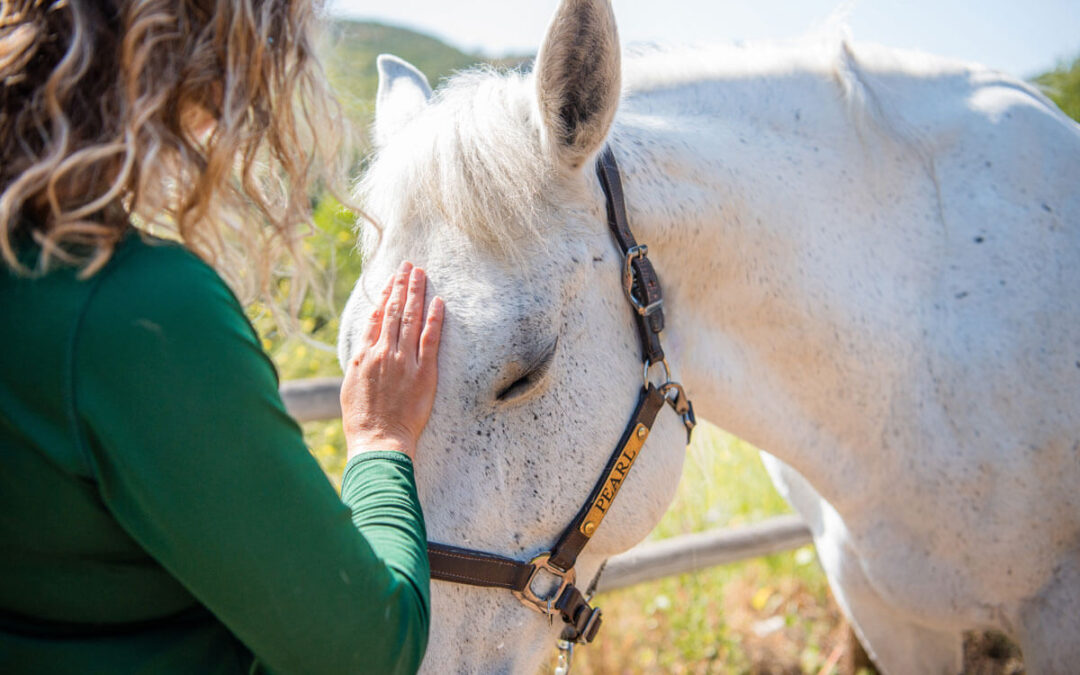 Mental Health Services at The Shea Center