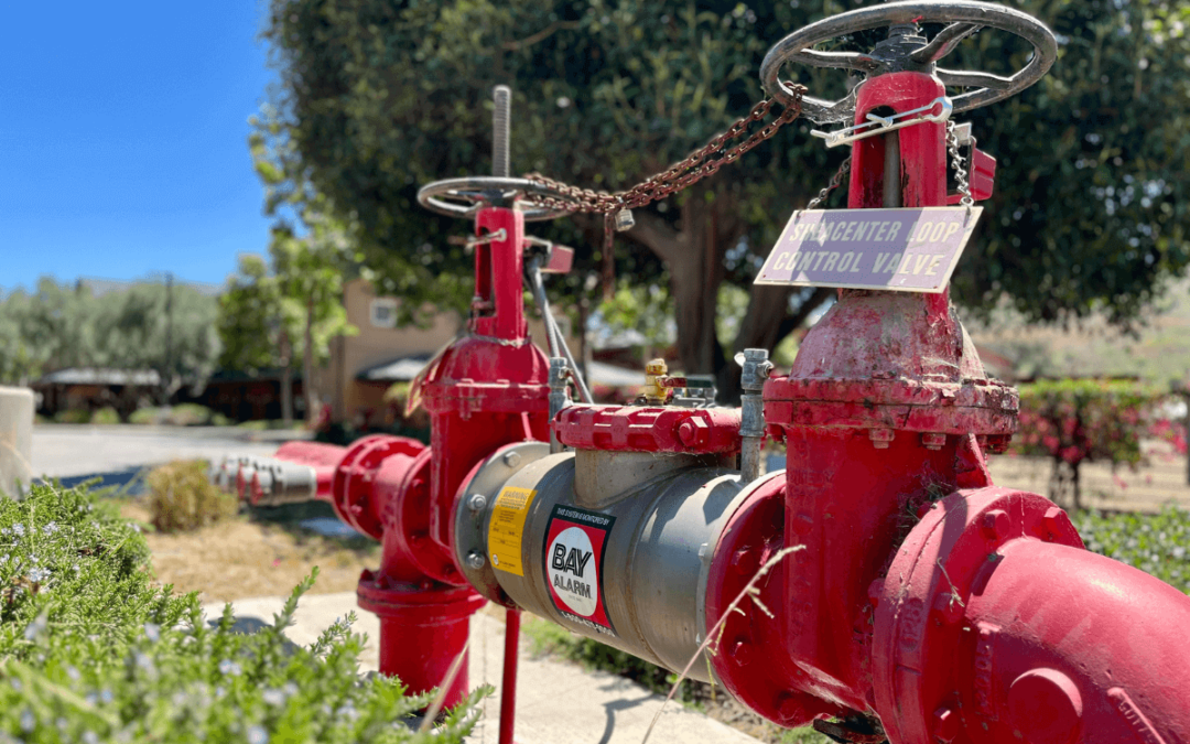 4 Ways to Help Shea with Water District Rate Increase