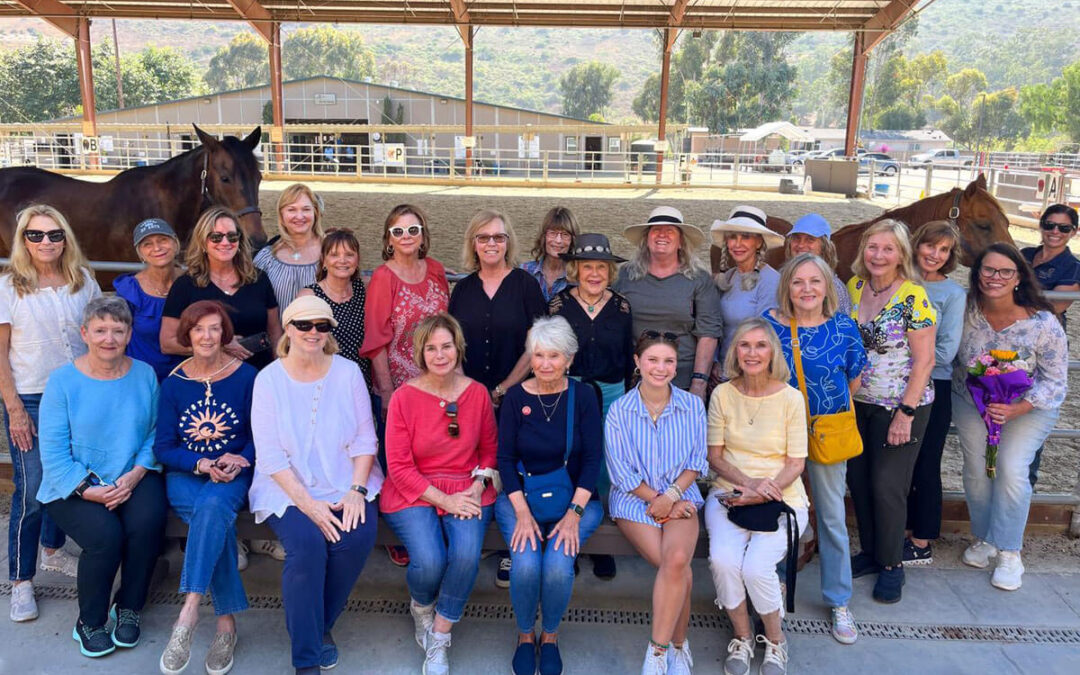 New Horses Thanks to Assistance League