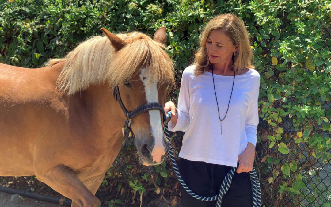 Staff Bio: Jane, Special Events and Annual Campaign Manager