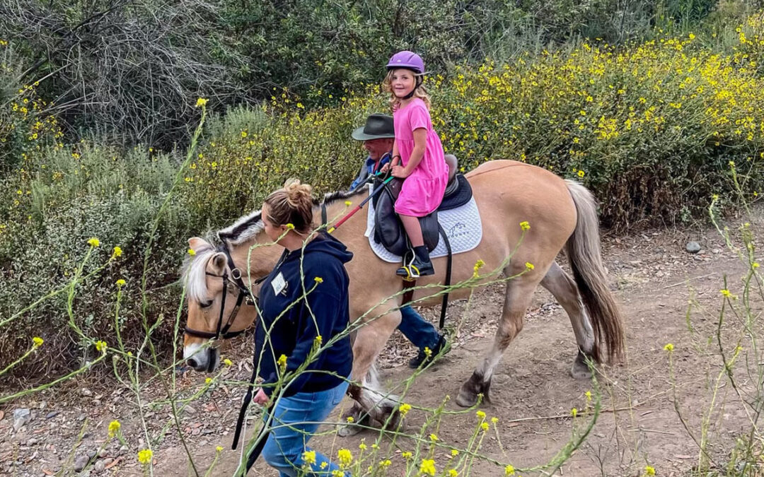 Adaptive Riding Client Spotlight: Tobin