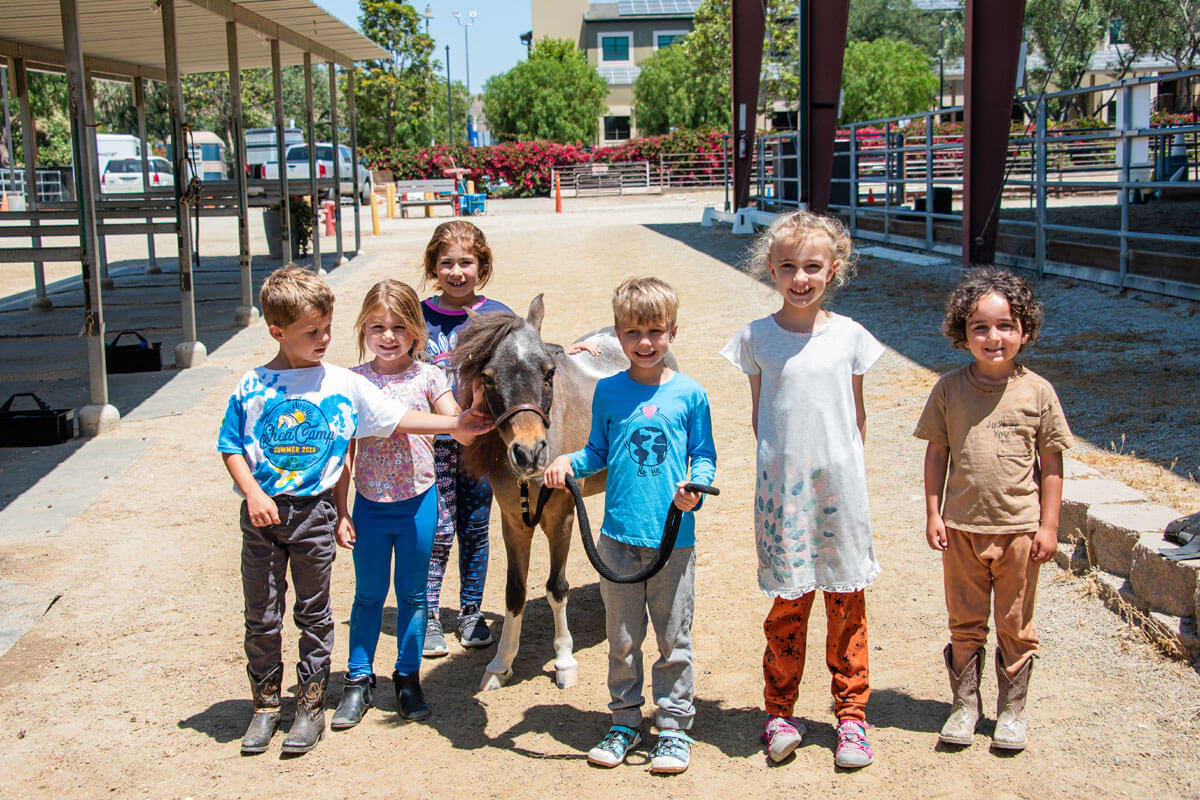 Kids at The Shea Center Summer Horse Camp