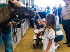 A young girl pets a pony while another child in a wheelchair looks on nearby in a barn setting. The girl is wearing a white dress with black polka dots, and the pony is being held by a handler. Other attendees, including a man in a plaid shirt and a cowboy hat, are visible in the background, contributing to the lively and inclusive atmosphere. This scene highlights the therapeutic and engaging interactions available at The Shea Center, showcasing its commitment to accessibility and enriching experiences for all visitors.