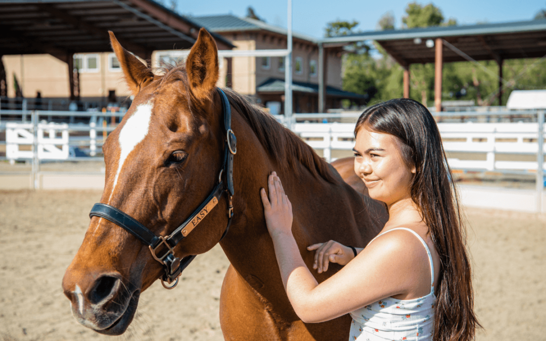 What is Equine Assisted Psychotherapy?