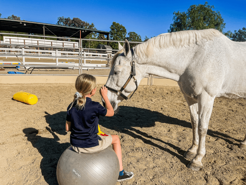Orange County Mental Health for Children