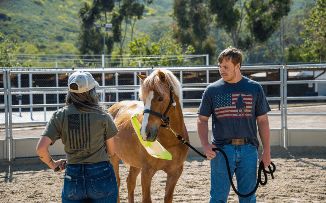 Equine Assisted Learning Client Spotlight: Liam
