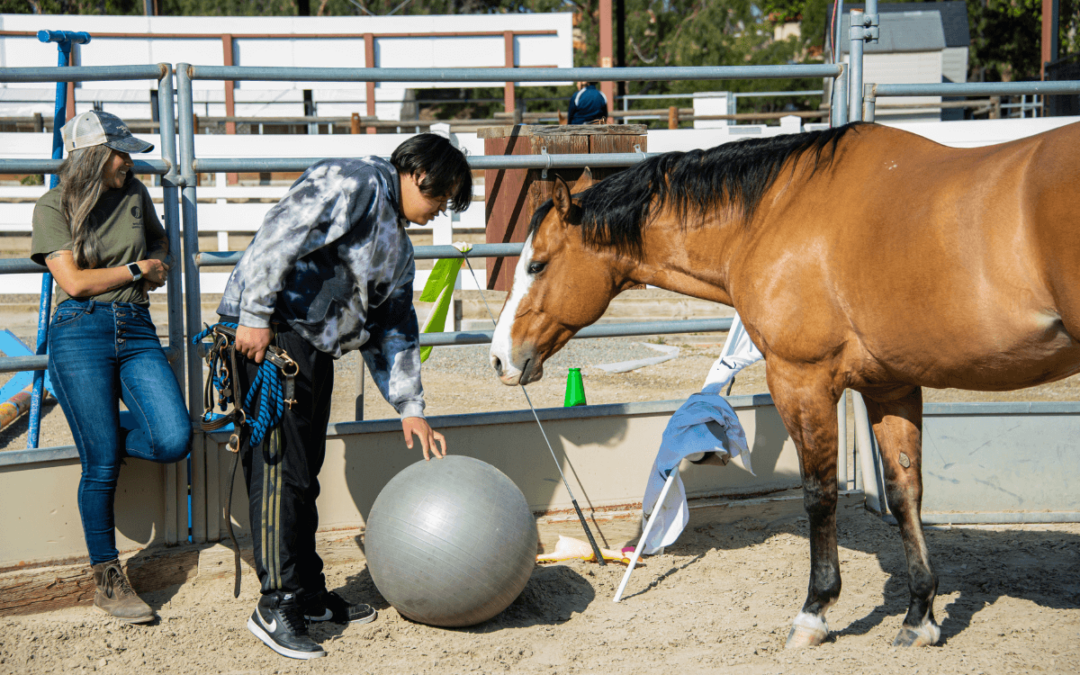 What is EAL? A Unique Wellness Service for All Ages