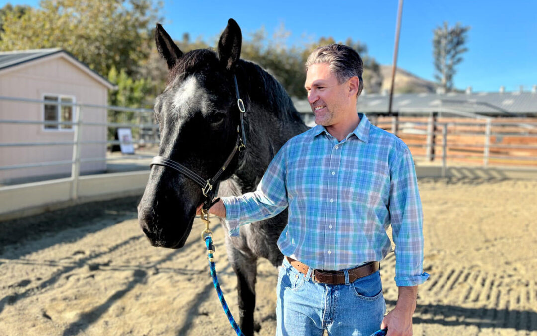 How Equine Assisted Psychotherapy Changed the Life of a Veteran