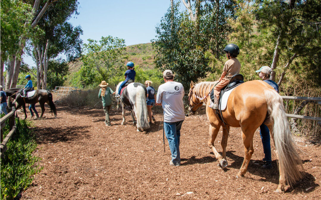Shea Summer Horse Camp 2024