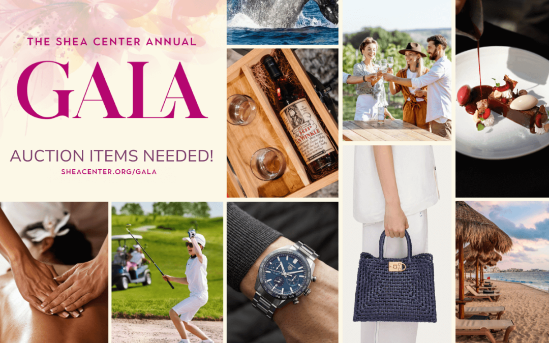 Support The Shea Center by Donating Gala Auction Items!