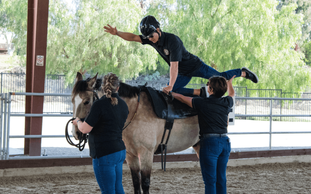 What is a Ride-Along & Why Do We Do Them?