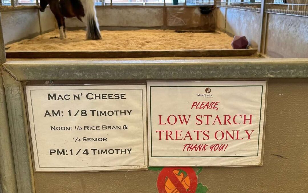 Why are some Shea horses not allowed to eat carrots?