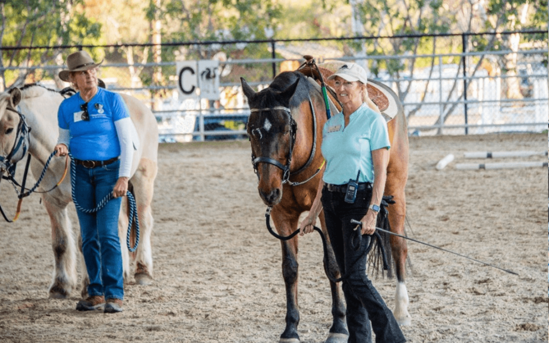 The Benefits of Using Dressage Whips and Crops
