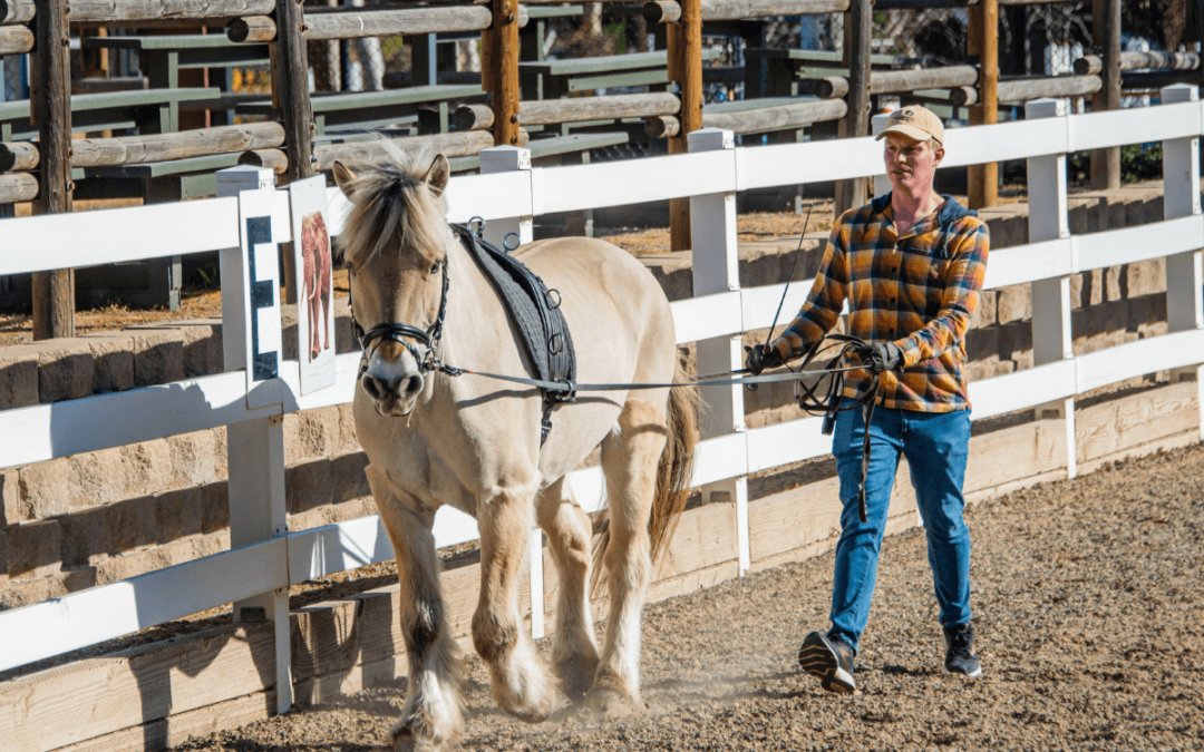 Groundwork Equals Better Communication and Better Understanding