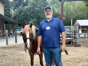 A man in a blue polo shirt and cap stands next to a light brown horse with a white mane at an outdoor stable area. The horse is wearing a halter and lead rope, and both are facing the camera on a sunny day.