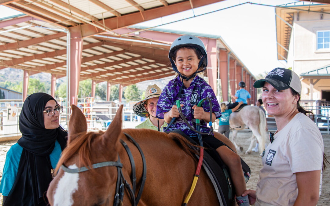 Shea Center Intern: Lynsey
