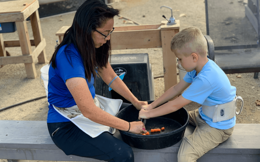 Occupational Therapy: Enhancing Daily Independence