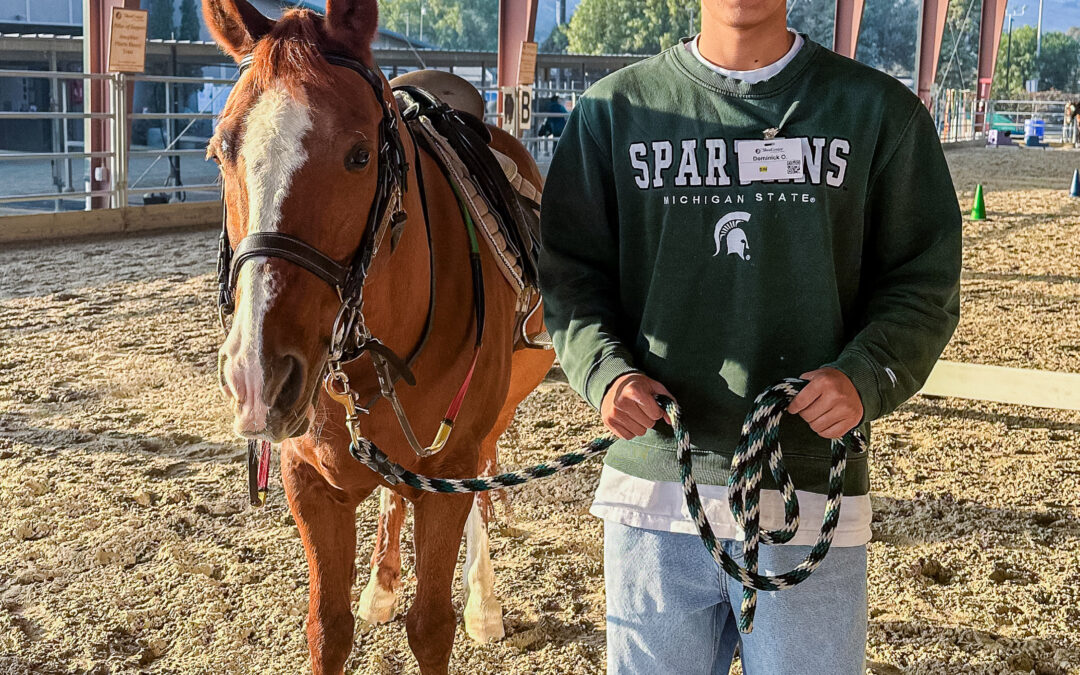 Volunteer of the Month: Dominick