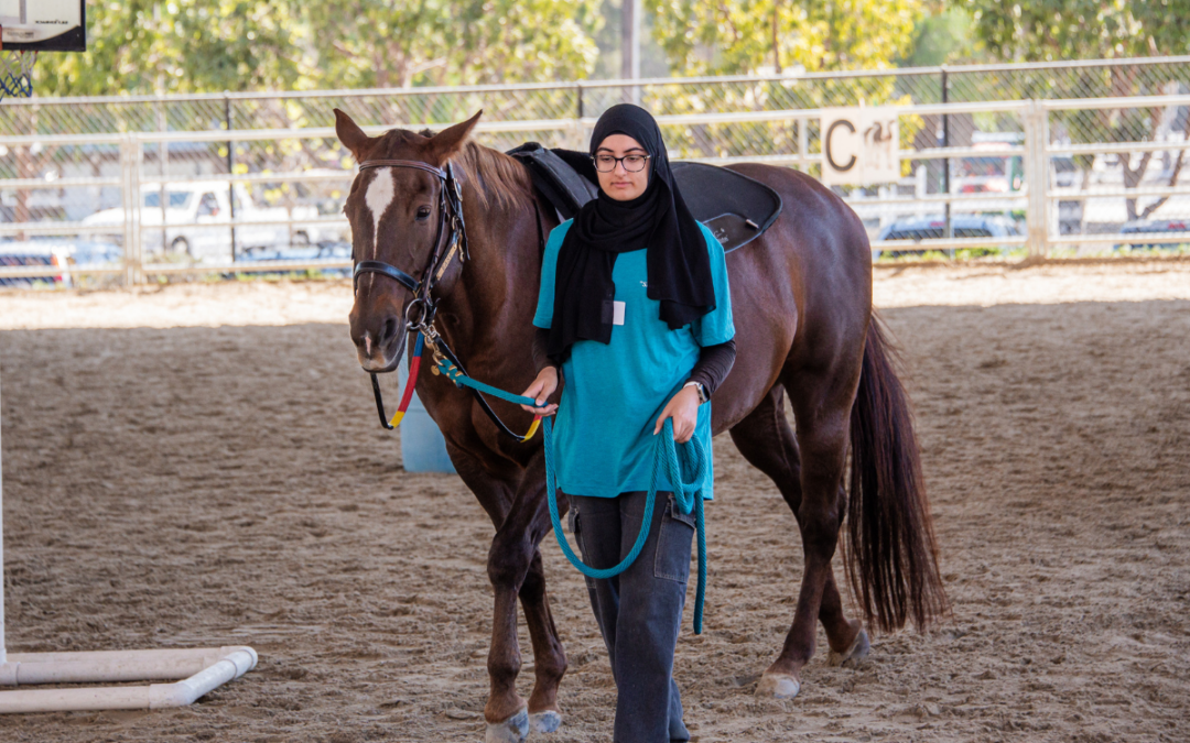 From Sidewalker to Leader: The Evolution of YOUR Horsemanship The Shea Way