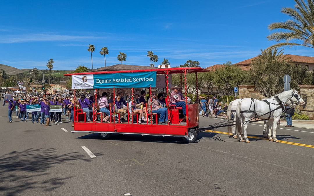 2025 Swallows Day Parade