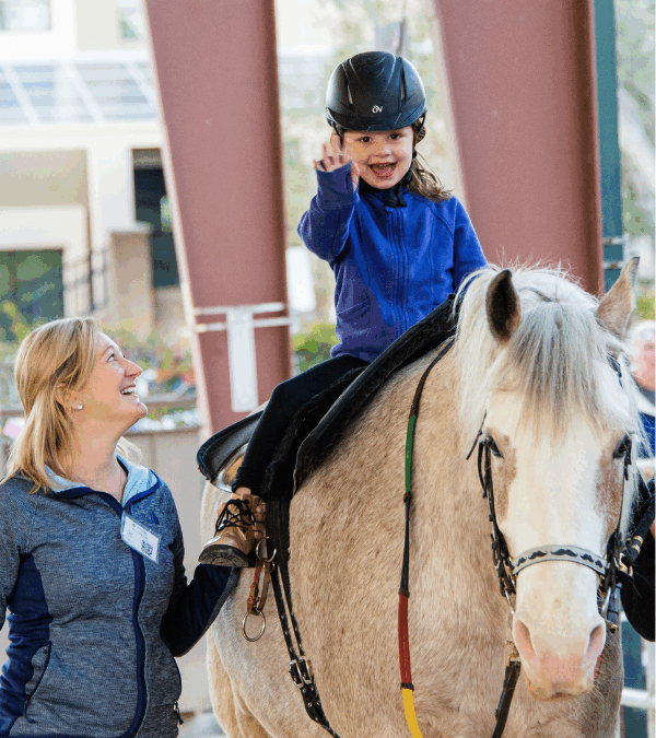 Thank You 2025 Horse Sponsors