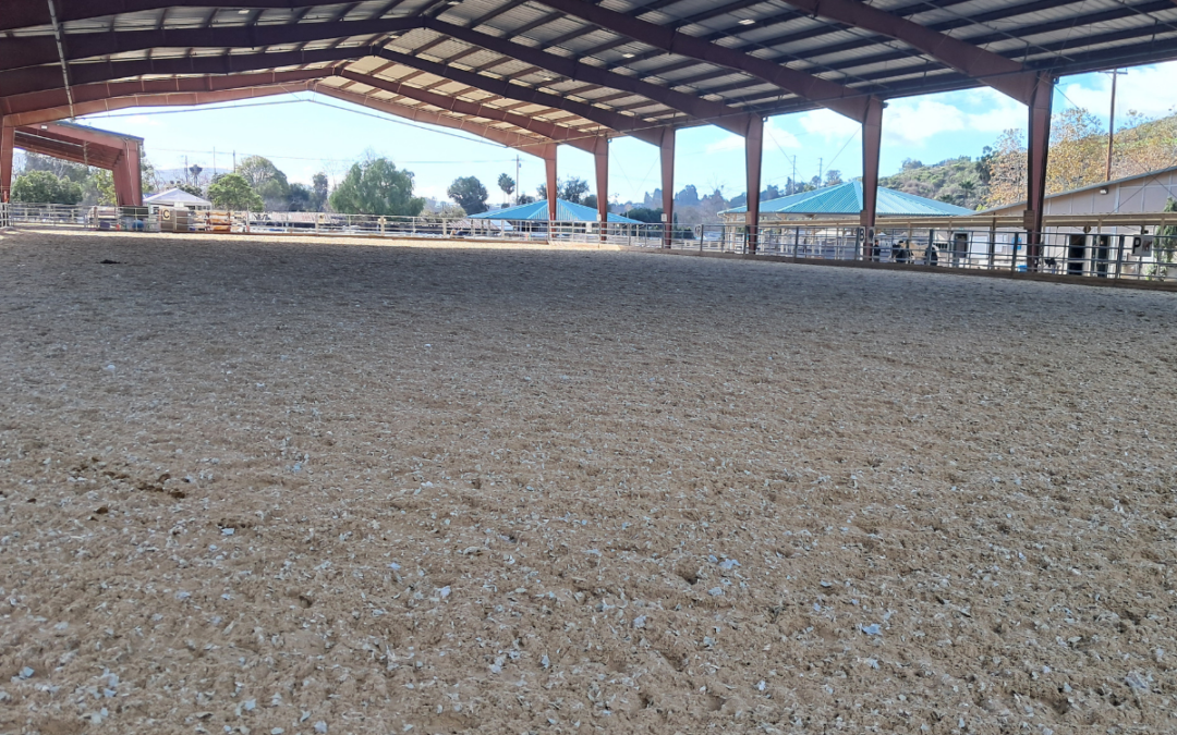 Did You Know? – 2025 Buildings & Grounds Improvements to the Arenas