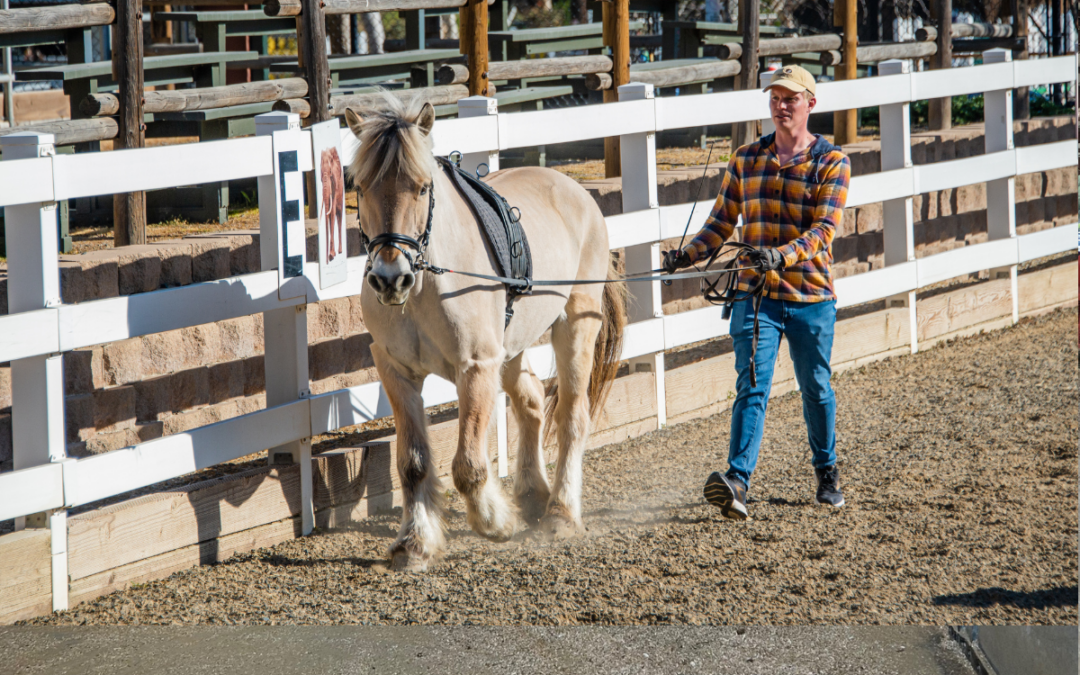 The Impact of Driving from Behind