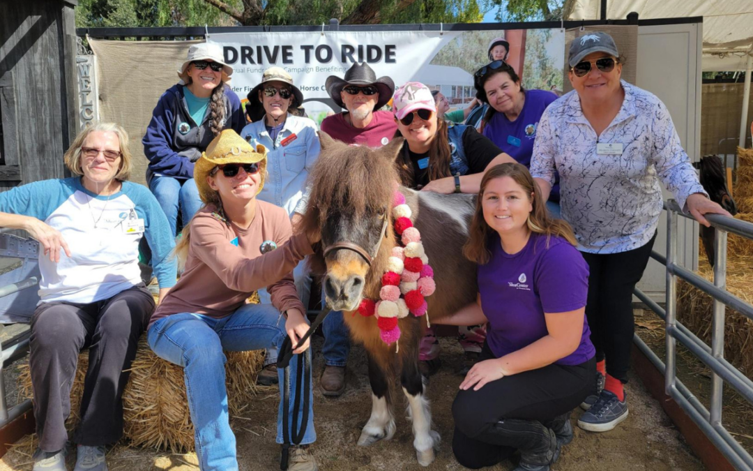 How to Become a Shea Center Volunteer